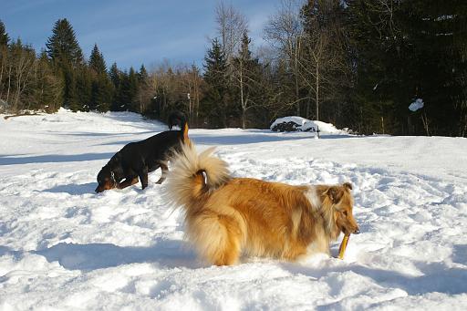 Fotos f. Homepage Galerie 034